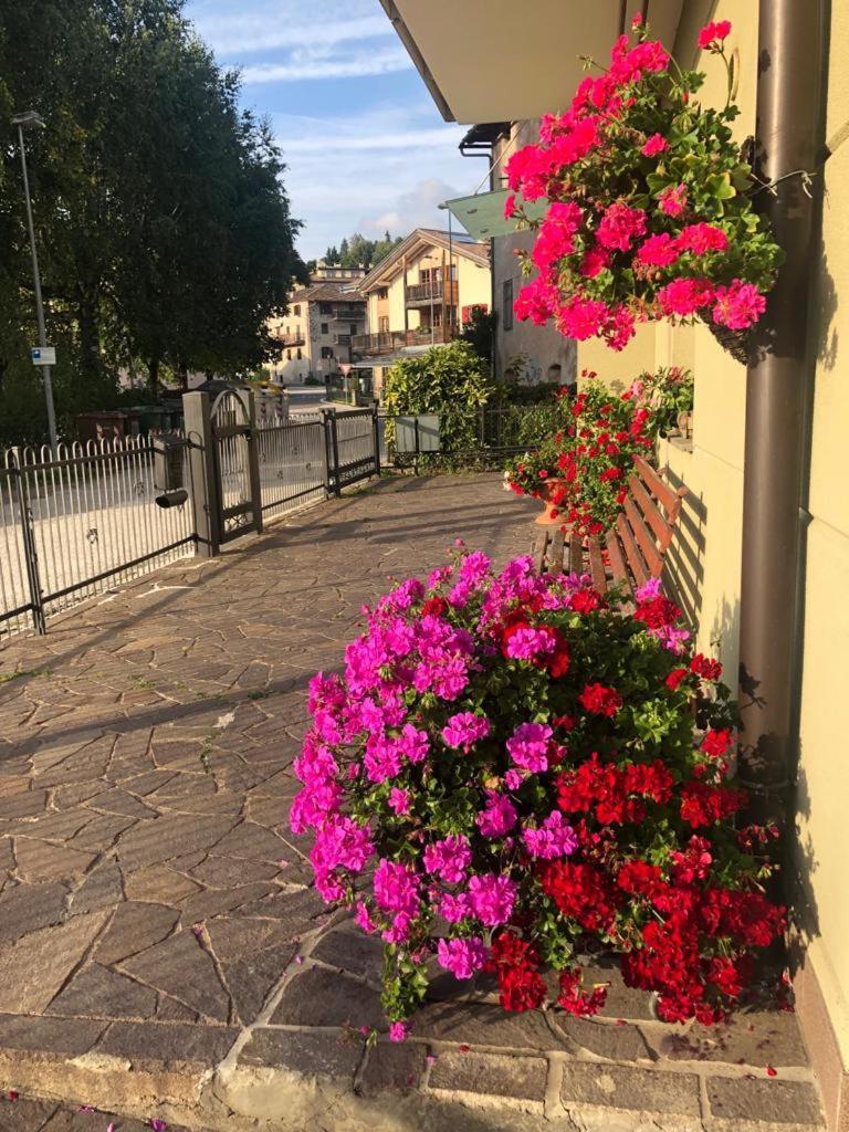 Appartamento Luminoso, Giardino, Vista Dolomiti. Baselga di Pinè Eksteriør bilde