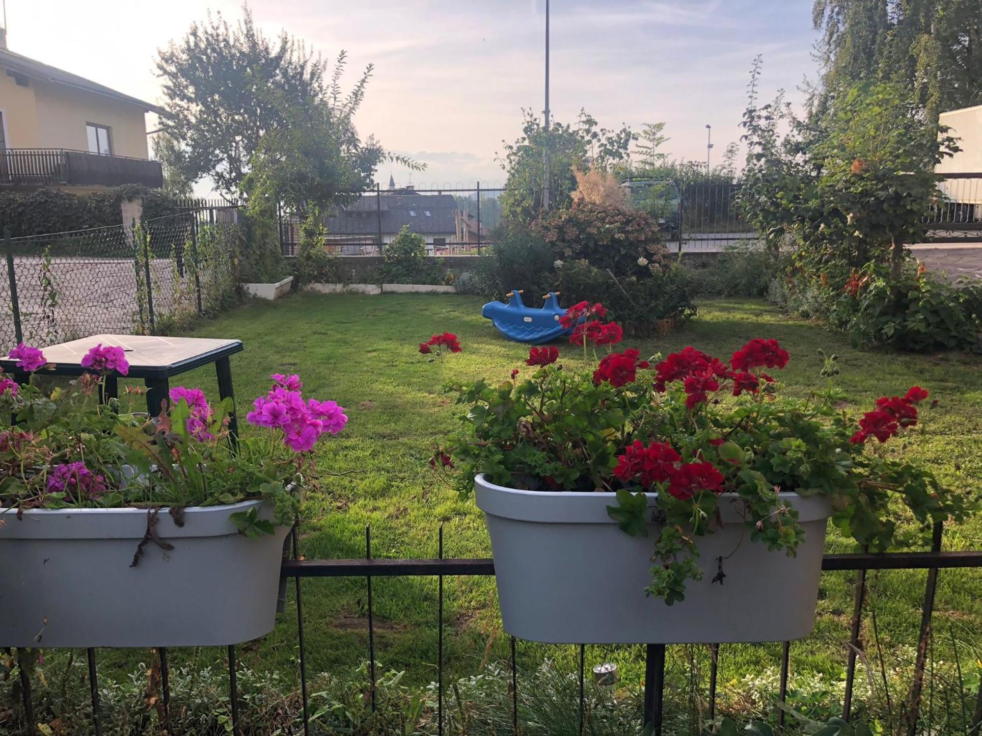 Appartamento Luminoso, Giardino, Vista Dolomiti. Baselga di Pinè Eksteriør bilde